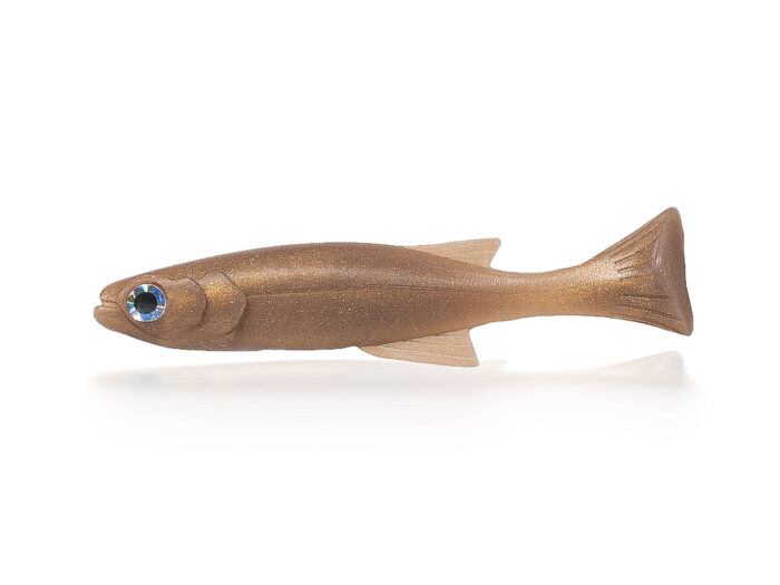 Lil Burno Carp Gold Pearl