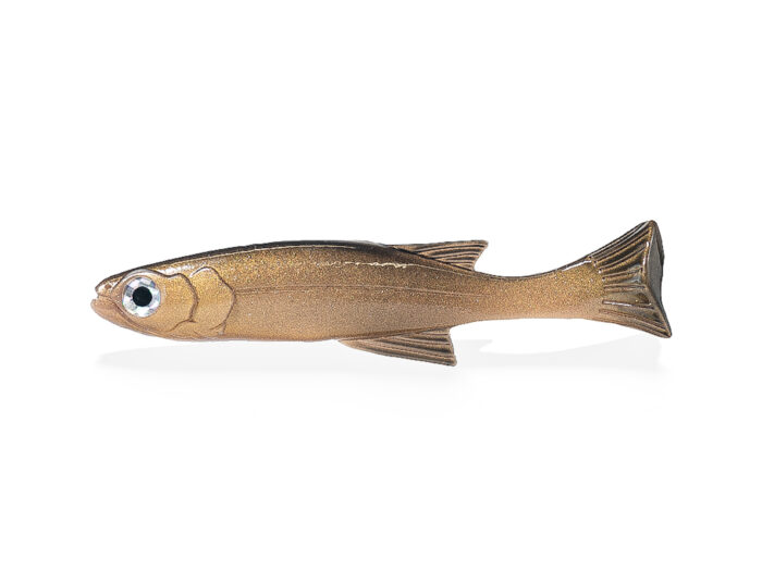 Big Burno Real Carp