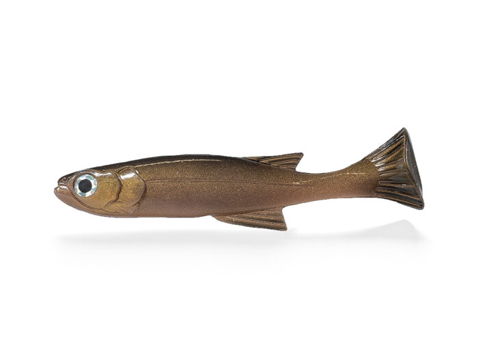 Lil Burno Real Carp