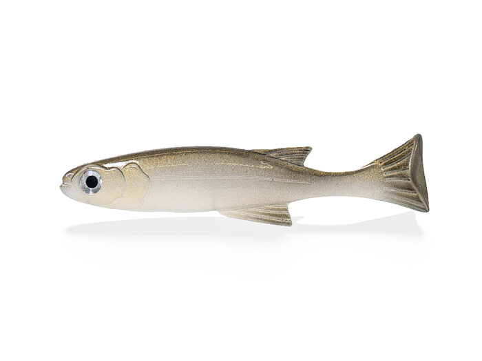 Lil Burno Real Clear Gold Back