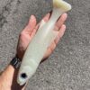 Monster Burno Perch - immagine 2