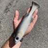 Monster Burno Real Baitfish - immagine 2