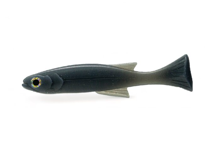 Lil Burno Midnight Shad