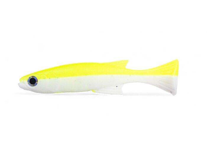 Big Burno Laminate Chart White Belly