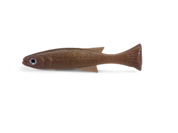 Lil Burno Dark Carp
