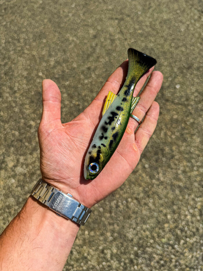 Burno Real Baby Bass - immagine 2
