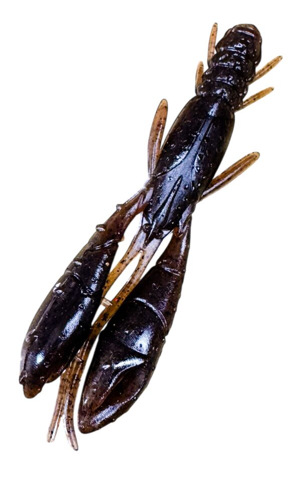 Cola Brown