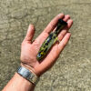 Snack Burno Real Baby Bass - immagine 2
