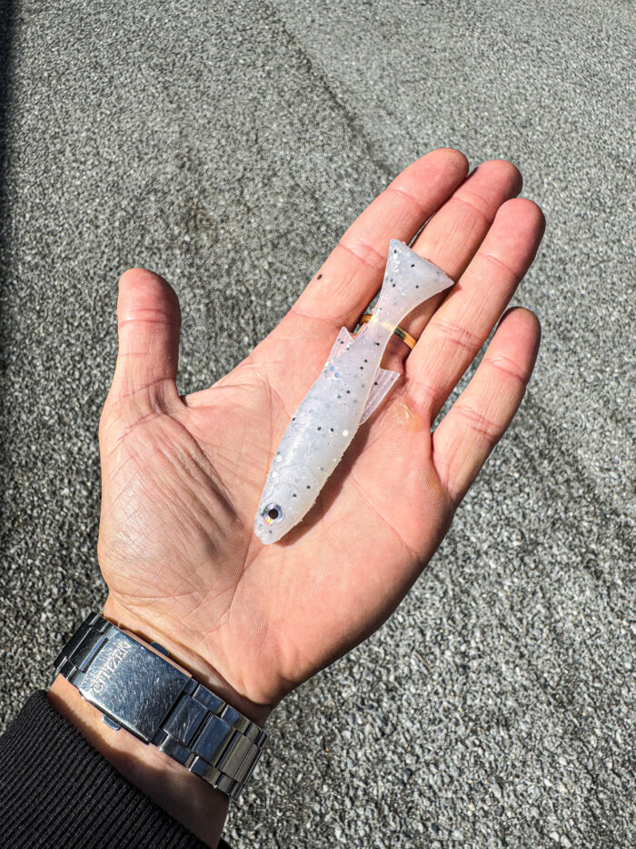Lil Burno Perfect Baitfish - immagine 2