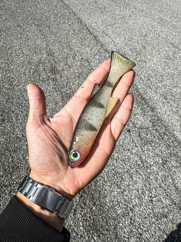 Burno Real Italian Perch - immagine 2