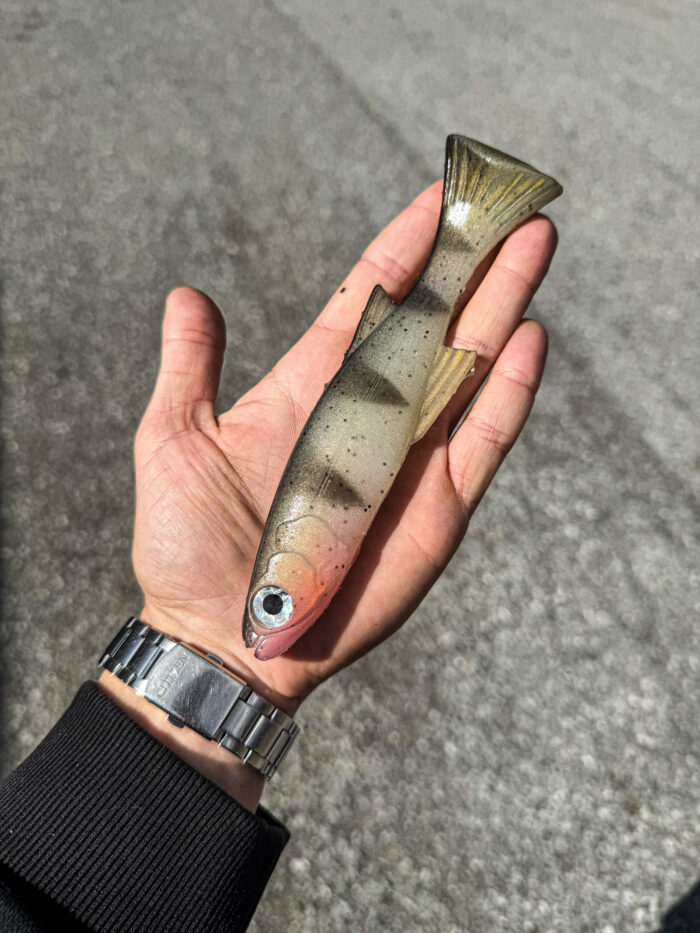 Big Burno Real Italian Perch - immagine 2
